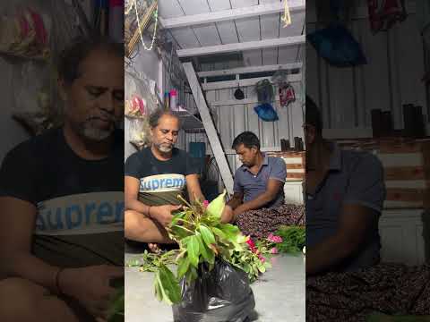The viral flower lichi bouquet 🫶🏻❤️ #bouquet #flowers #viral#shorts #birthday #iamjuhirawatt