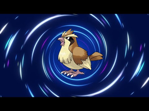 Pidgey Evolution Line!
