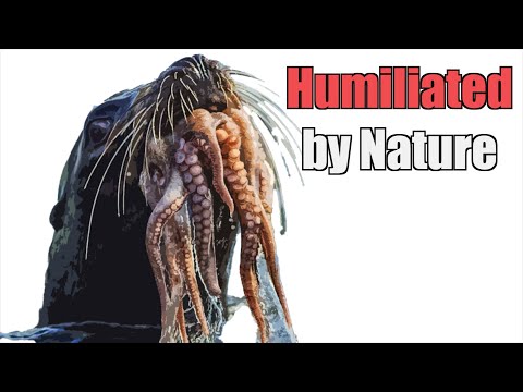 Why It Sucks to be Earth's Oldest Genius