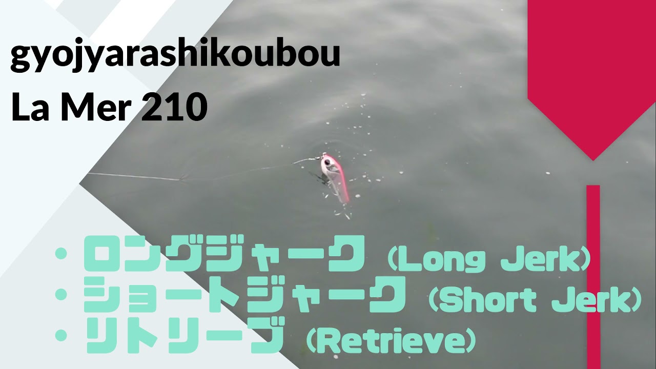 gyojyarashikoubou(魚じゃらし工房) La Mer(ラメール)210 使用 gyojyarashikoubou(魚じゃらし工房) La Mer(ラメール)210 使用