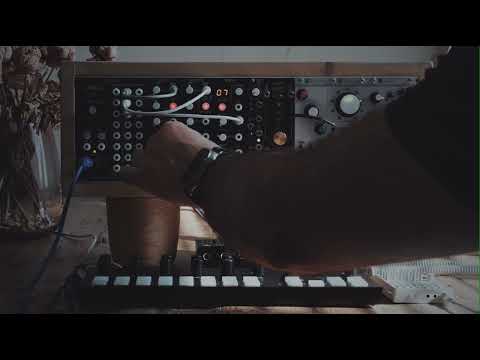 TipTop Audio Vortex - ART Wavetable Dual Oscilator image 2