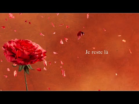 Gaëtan Roussel - Je reste là (Lyrics Vidéo)
