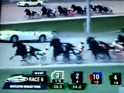 2007 Hambletnian Day - Race 6 - Mistletoe Shalee Final