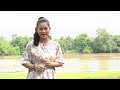 BELAJAR BAHASA DAYAK NGAJU MENGENAL KALIMAT TANYA