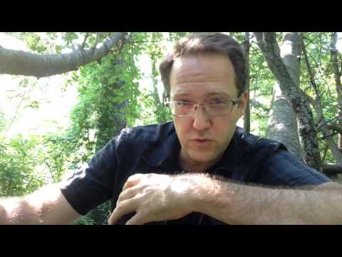 Polyculture Design Class 1: Why Polyculture?