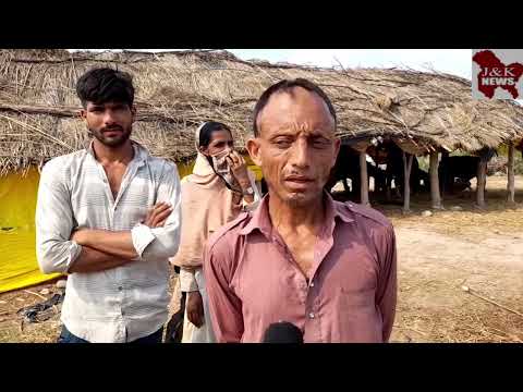 PRE VACCINATION💉 SAMPLING OF ANIMALS HAVING FOOT AND MOUTH DISEASES 🐄