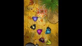 Pocket Frogs videosu