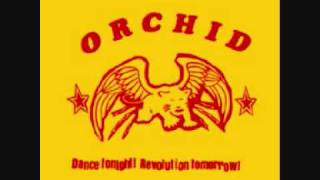 Orchid - Black Hills