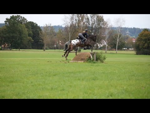Geländetraining 11.10.2020 in Gut Waitzacker 🐎