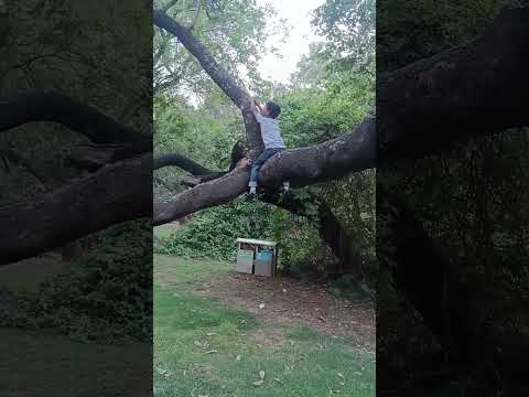 ek ucha labma kad #viralshort #trendingshorts #darshit