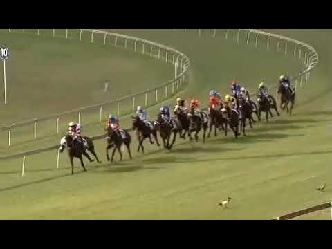 CAMPHORATUS - 2019 HSH Princess Charlene Empress Club Stakes(Gr1)