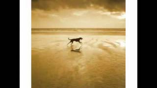 Frank Black &amp; The Catholics - Dog In The Sand