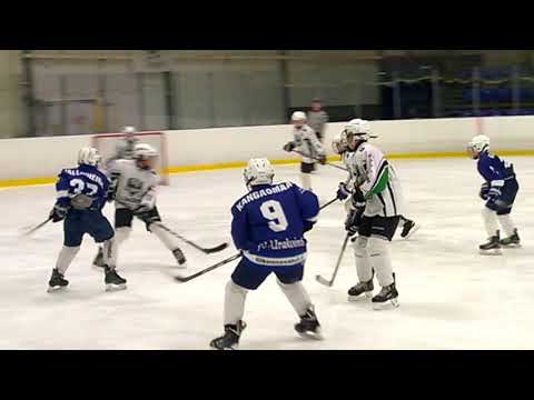 HAKI White Jää-Tiikerit