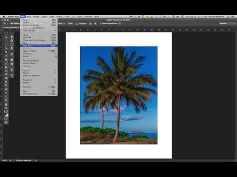 FilePrep11x14FineArtPrint