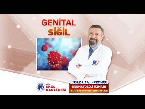 hpv lézió tedavisi