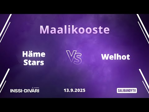 Maalikooste: Häme Stars - Welhot (Inssi-Divari N)