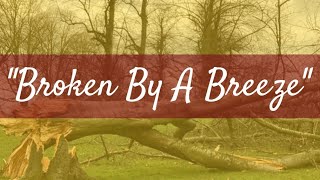 MARK NEVIN - Broken By A Breeze