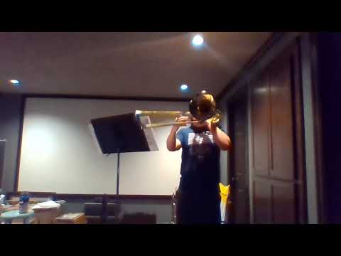 Concerto Allegro - Lebedev