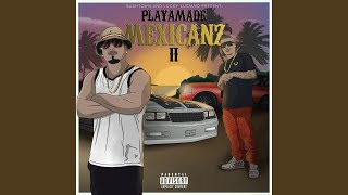 Playamade Mexican