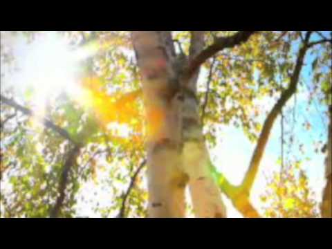 Love Is A Many Splendored Thing! (1955) (Arthur Fiedler & The Boston Pops Orchestra!)