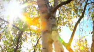 Love Is A Many Splendored Thing! (1955) (Arthur Fiedler & The Boston Pops Orchestra!)