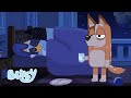 Winding Down With Bluey Bluey