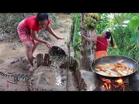 Baby crocodile, ripe banana and banana tree, pitch snail and meet big fish in river