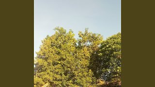 Download lagu The day one mp3