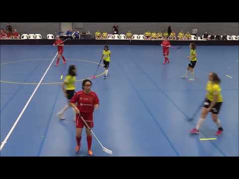 BTSM Koovee- PSS, Eerikkilä Tammela, 06.01.17 klo. 17:30