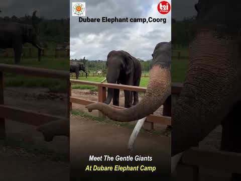 Explore karnataka with Guruji 2026 July/aug