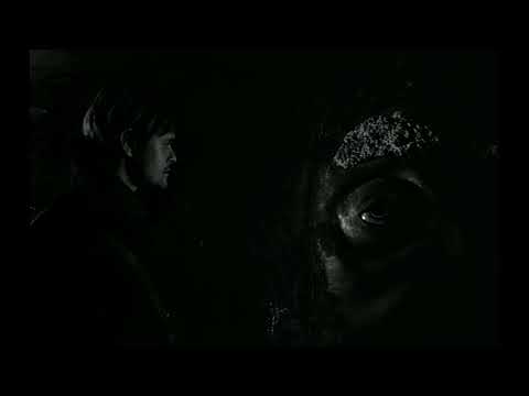 Mihály Víg - Valuska // Werckmeister Hármoniák