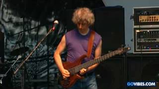 Mike Gordon Performs "Meat" at Gathering of the Vibes Music Festival 2008