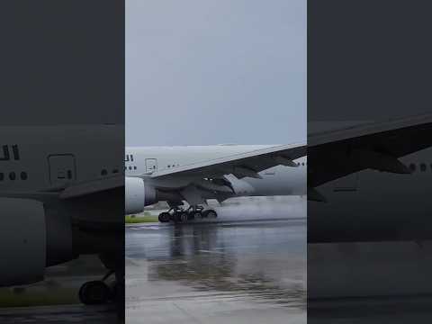 Heavy Jet Blast from Boeing 777-300ER|| American Boeing 777 & Qatar 777 Together||