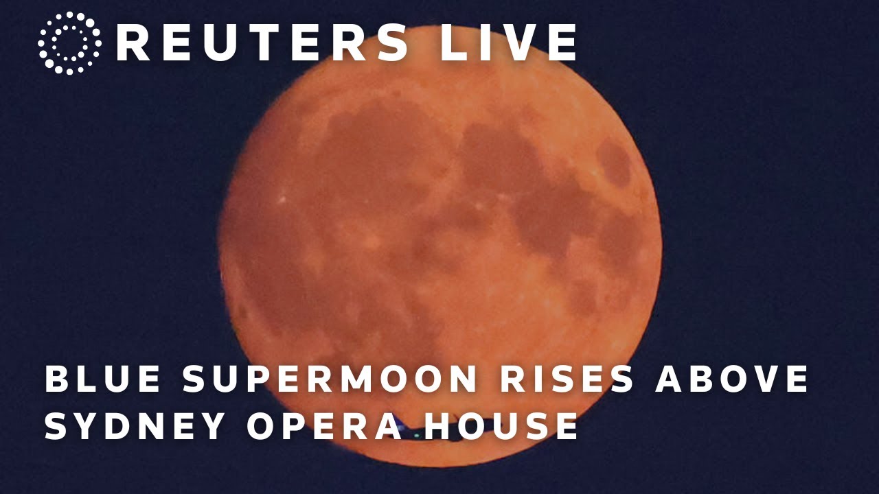 LIVE: Blue Supermoon rises above Sydney Opera House | REUTERS