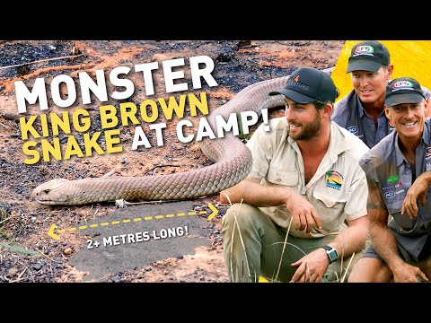 🔥 NO THANKS! Dangerous 4WD adventure in REMOTE Australia 💀