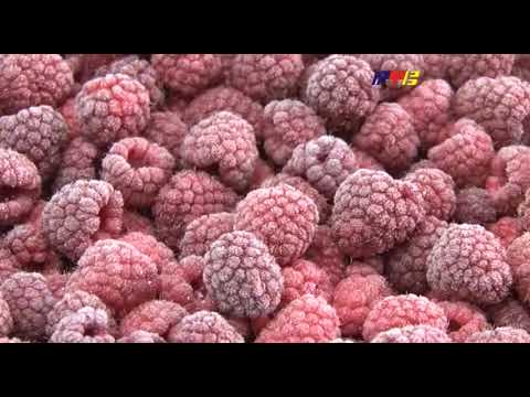 Fete si femei din bojnik care vor sa faca sex femeie singura caut barbat krupanj