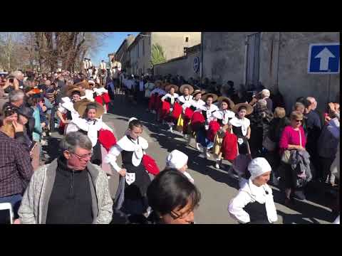 Défilé des boeufs gras à Bazas