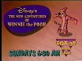 The New Adventures Of Winnie The Pooh Promo 1994