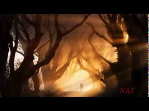 Tình bỗng chốc là không - Quang Dũng