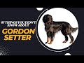 You Won't Believe What #7 Is! 7 Shocking Secrets About Gordon Setters Revealed!