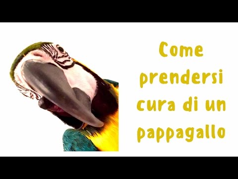 Targhe da un verme a bambini Chi sono parassiti