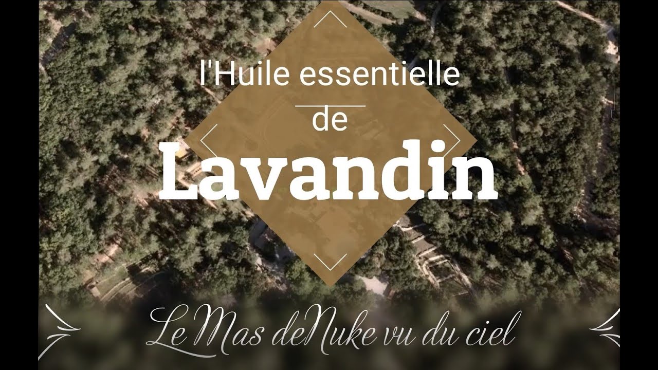 vertus de l'huile essentielle de lavandin