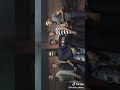 Tiktok Gelek Abang Abang