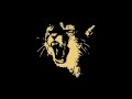 Wildcat by Ratatat (HD)
