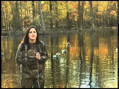 download lagu mp3 mp4 5 Oaks Duck Lodge For Sale, download lagu 5 Oaks Duck Lodge For Sale gratis, unduh video klip 5 Oaks Duck Lodge For Sale