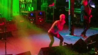 Stone Temple Pilots Army Ants LIVE 3-15-2018