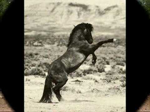 Nick Drake - From the morning