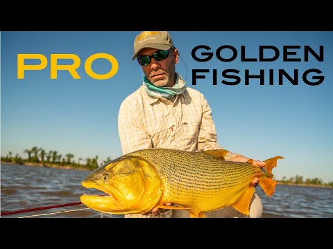 PRO  - Paraná River Outfitters