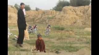 preview picture of video 'Ali wala 12-05-2012.mpg'