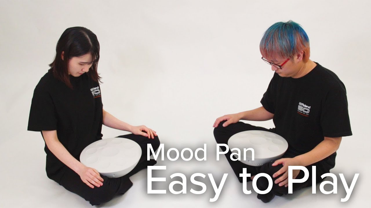 Roland MN-10 Mood Pan